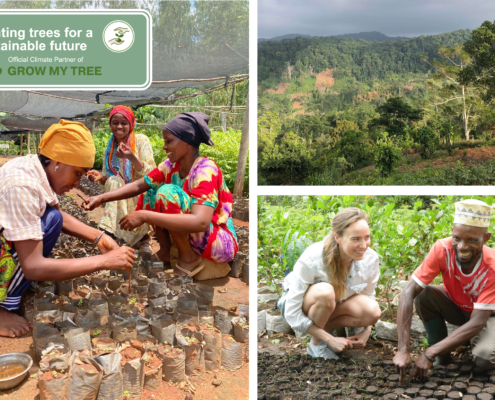 Grow My Tree Partnership